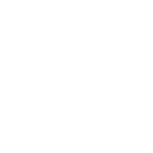 Beyond AI